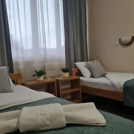 מלון Garni Alma 2*