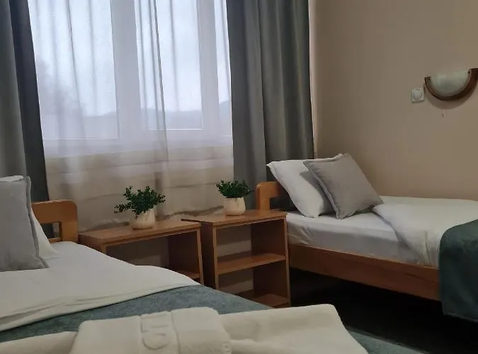 ホテル Garni Alma 2*