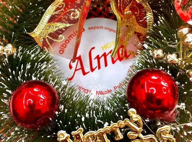 ホテル Garni Alma ピロト